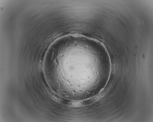 X0000085060093200703121536