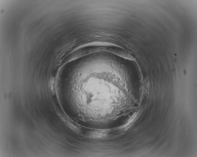 X0000085060094200703121536