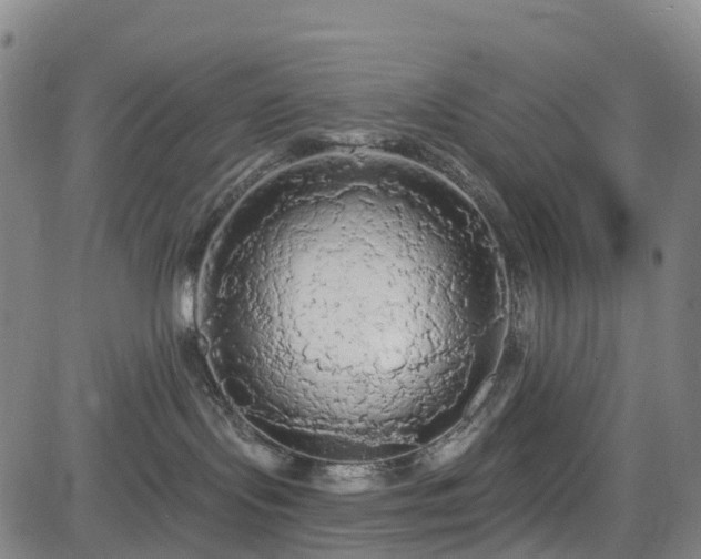 X0000085060095200703121536