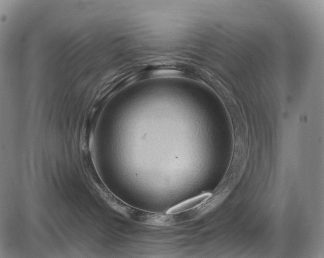 X0000085060096200703121536