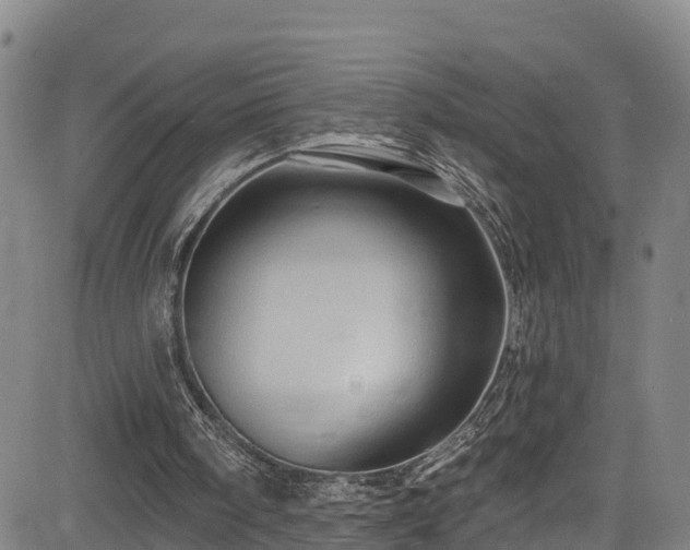 X0000085060098200703121535