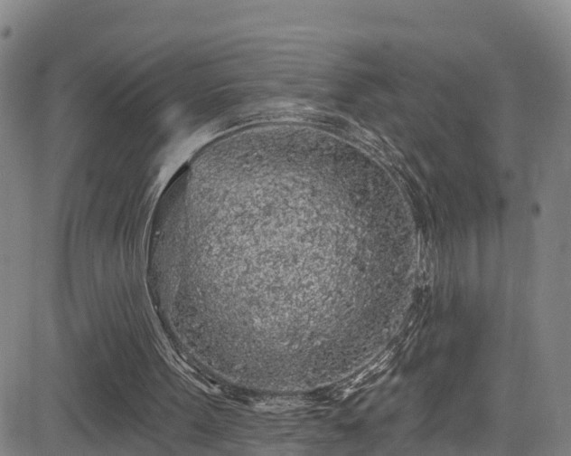 X0000085060099200703121535