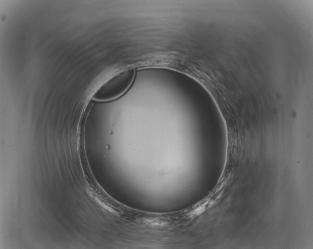 X0000085060100200703121535