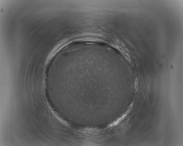 X0000085060101200703121535