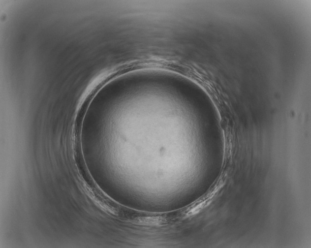 X0000085060102200703121535