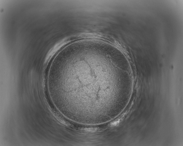 X0000085060103200703121535