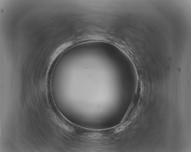 X0000085060104200703121535