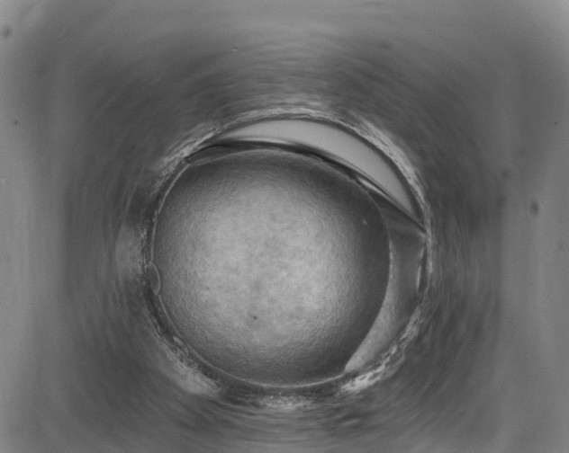 X0000085060105200703121535