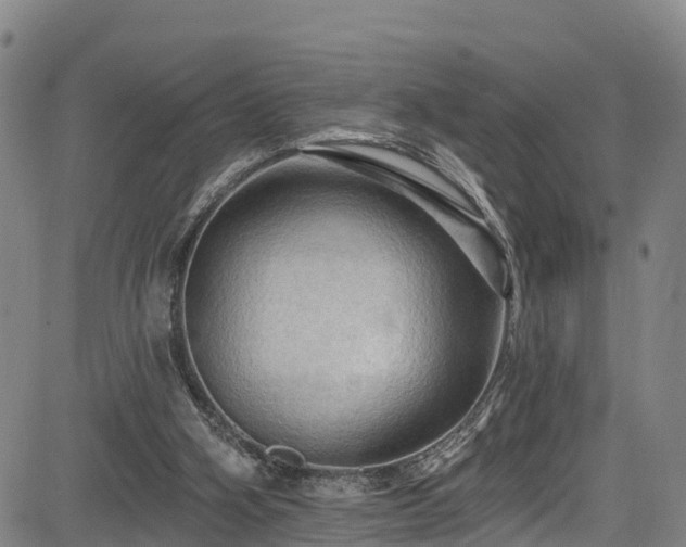 X0000085060106200703121535