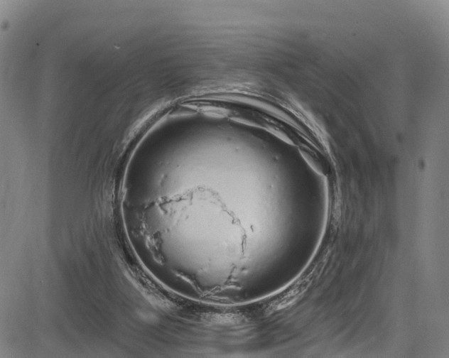 X0000085060107200703121535