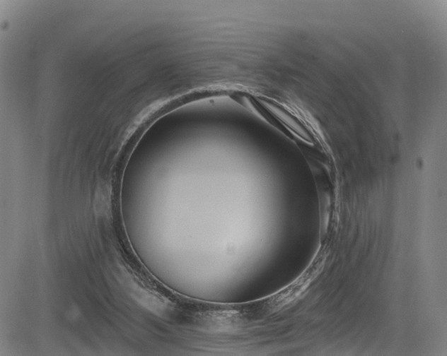 X0000085060108200703121535