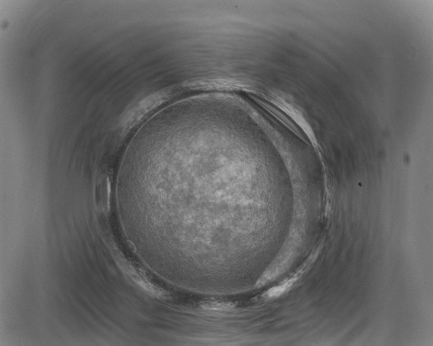 X0000085060109200703121535