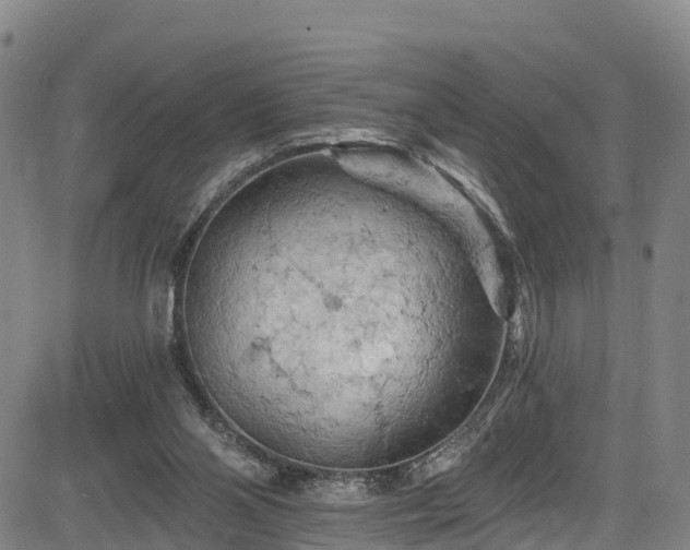 X0000085060110200703121535