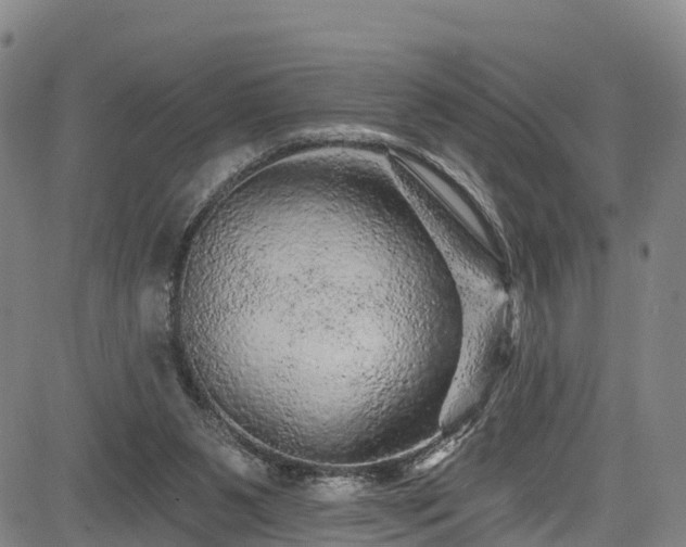 X0000085060111200703121535