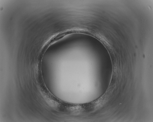 X0000085060112200703121535