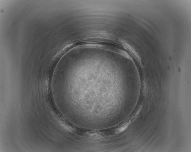 X0000085060113200703121535