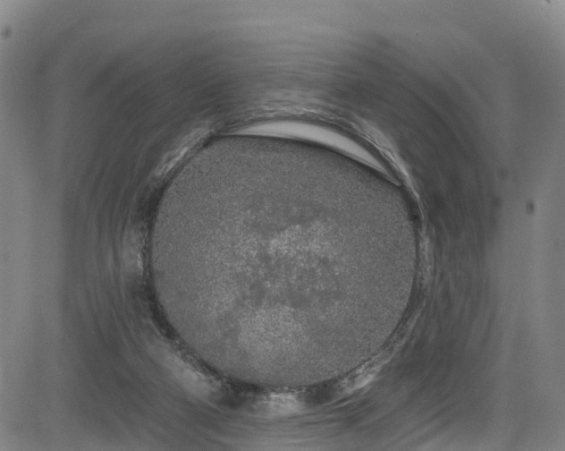 X0000085060114200703121535