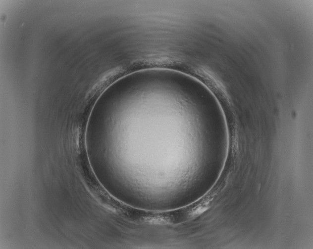 X0000085060115200703121535