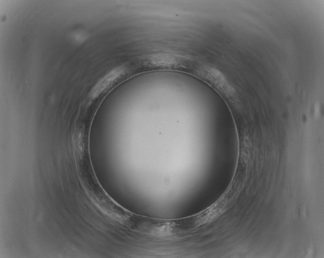 X0000085060116200703121535