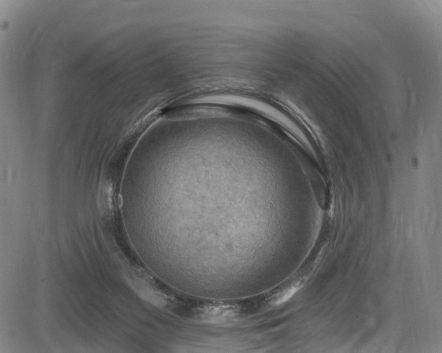 X0000085060117200703121535