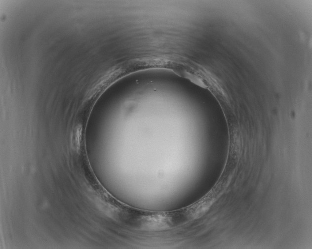 X0000085060118200703121535