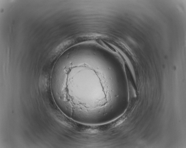 X0000085060119200703121535