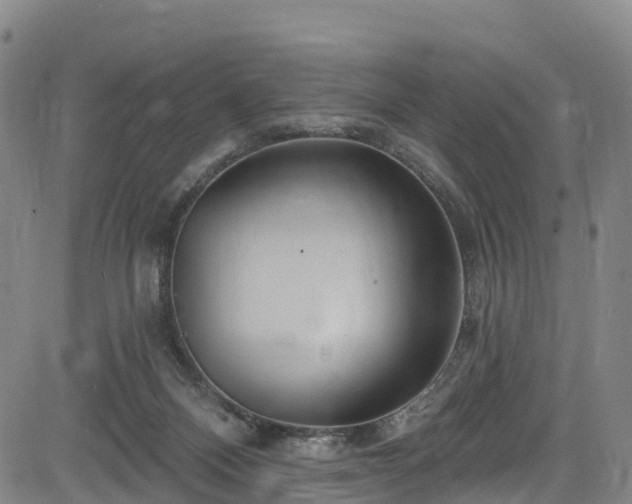 X0000085060120200703121535