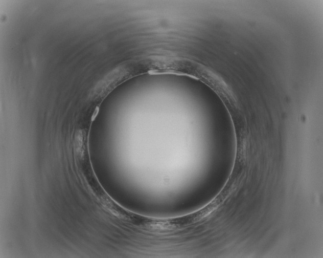 X0000085060121200703121535