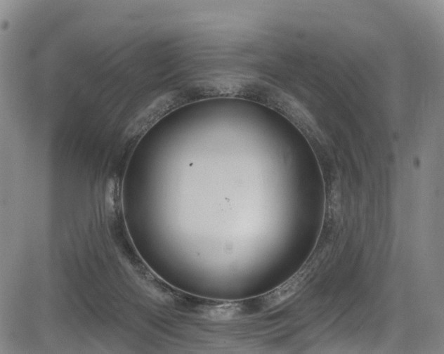 X0000085060122200703121535