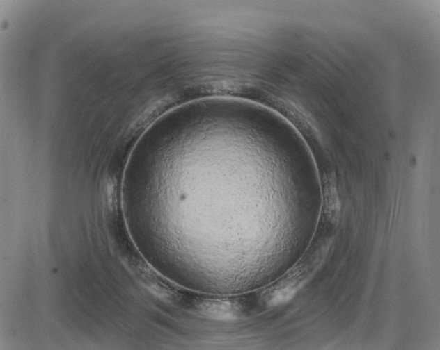 X0000085060123200703121535