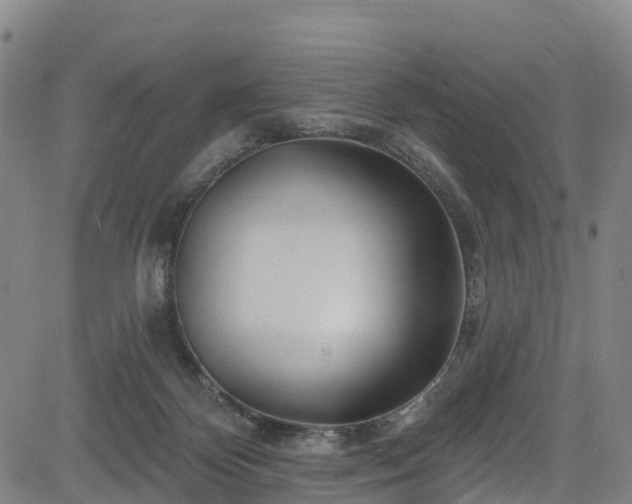 X0000085060124200703121535