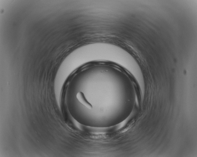 X0000085060125200703121535