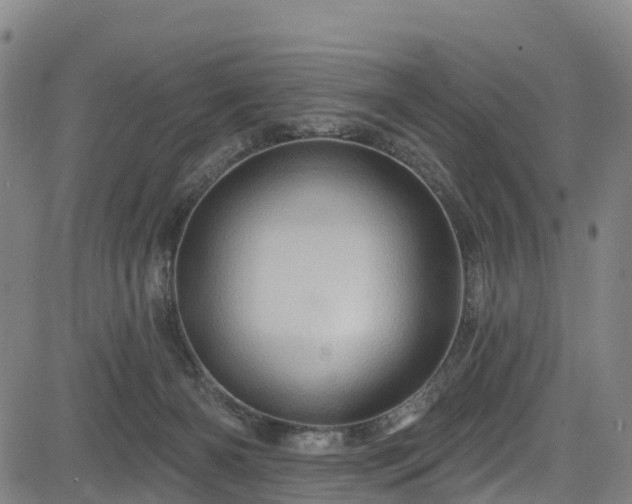 X0000085060126200703121535