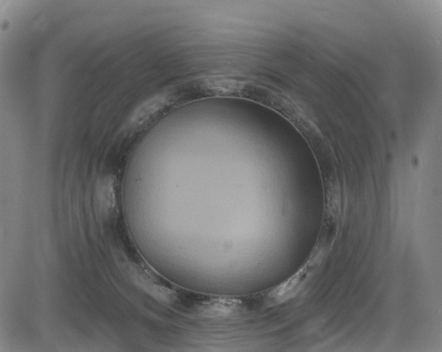 X0000085060128200703121535