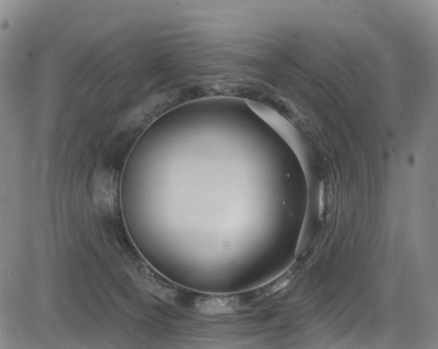 X0000085060129200703121535