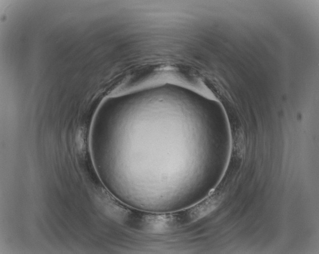 X0000085060131200703121535