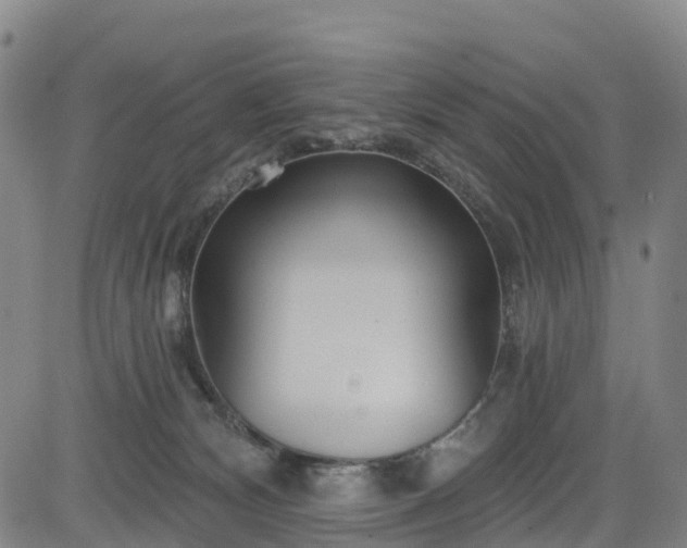 X0000085060132200703121535