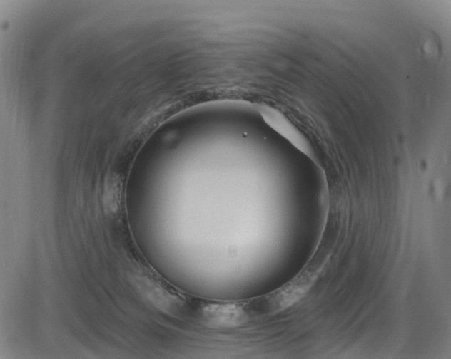 X0000085060133200703121535