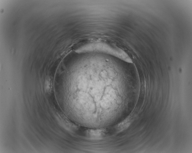 X0000085060134200703121535