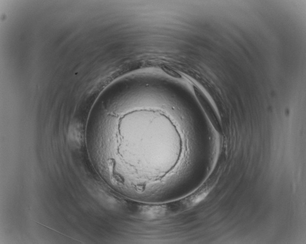 X0000085060135200703121535