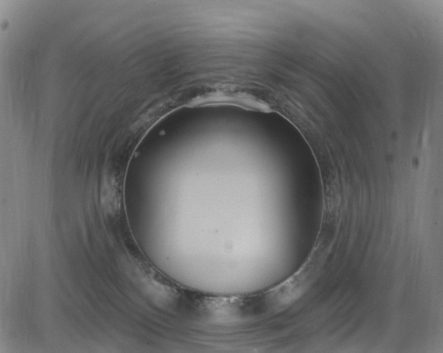 X0000085060136200703121535