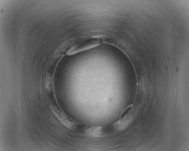 X0000085060138200703121534