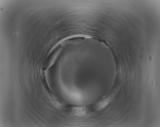 X0000085060139200703121534