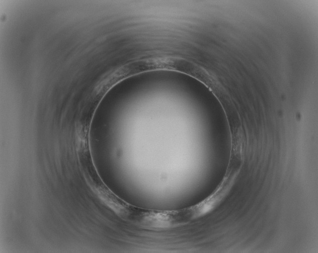 X0000085060140200703121534