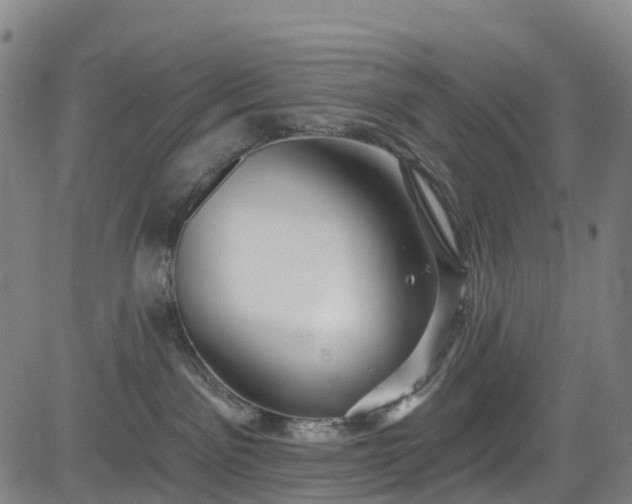 X0000085060141200703121534