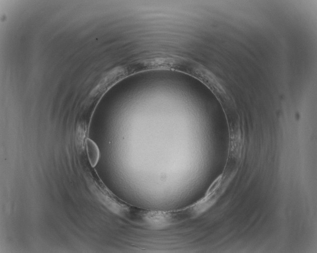 X0000085060142200703121534