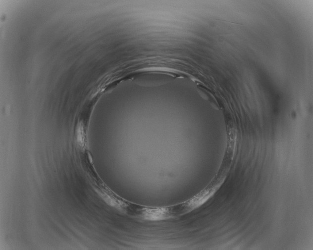 X0000085060143200703121534