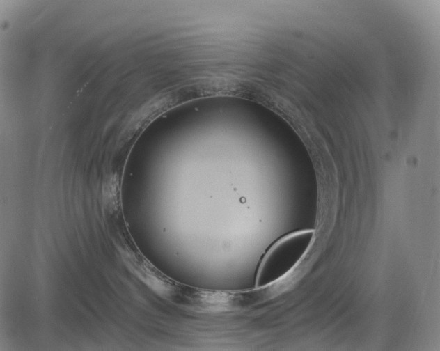 X0000085060144200703121534