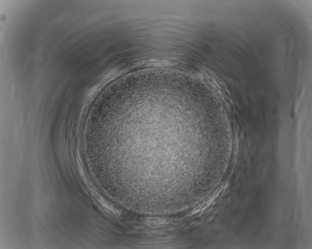 X0000085060145200703121534