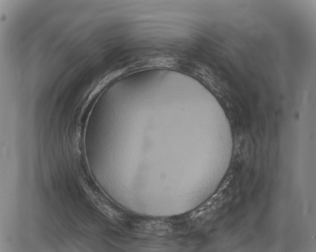 X0000085060146200703121534